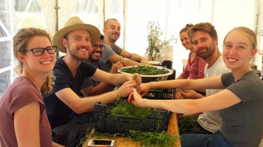 Environmental Studies Certificate Program (EN) LMU Munich