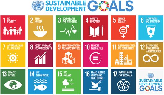 sdgs goals