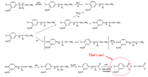 vanillin 4