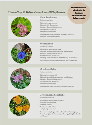 guide_2